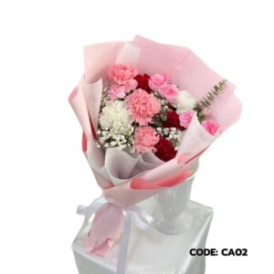 near-me-64-คาร์เนชั่น