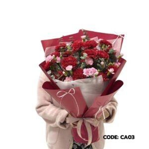 near-me-65-คาร์เนชั่น