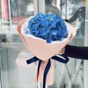 near-me-69-ไฮเดรนเยีย