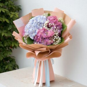 near-me-72-ไฮเดรนเยีย